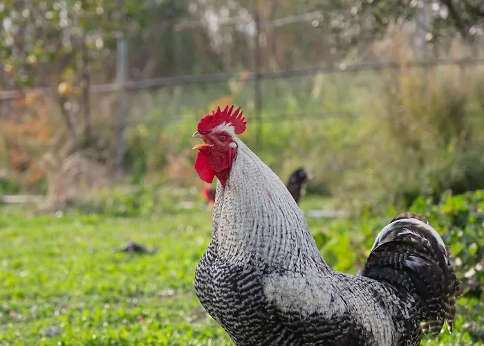 Paradisi Sea Escape Near The