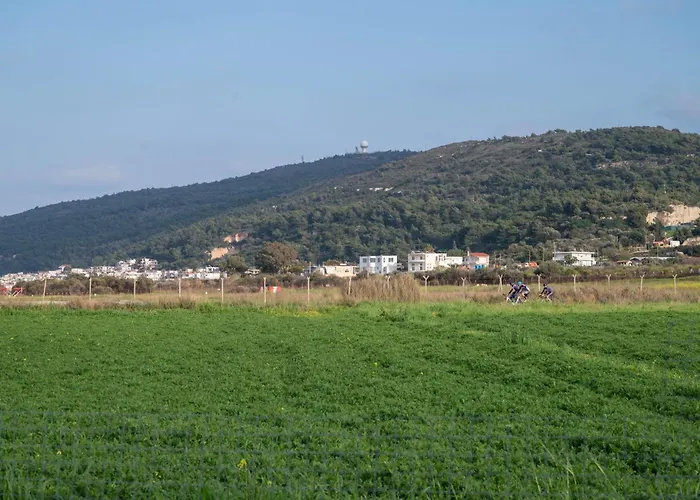 Paradisi Sea Escape Near The 펜션 페러데이션